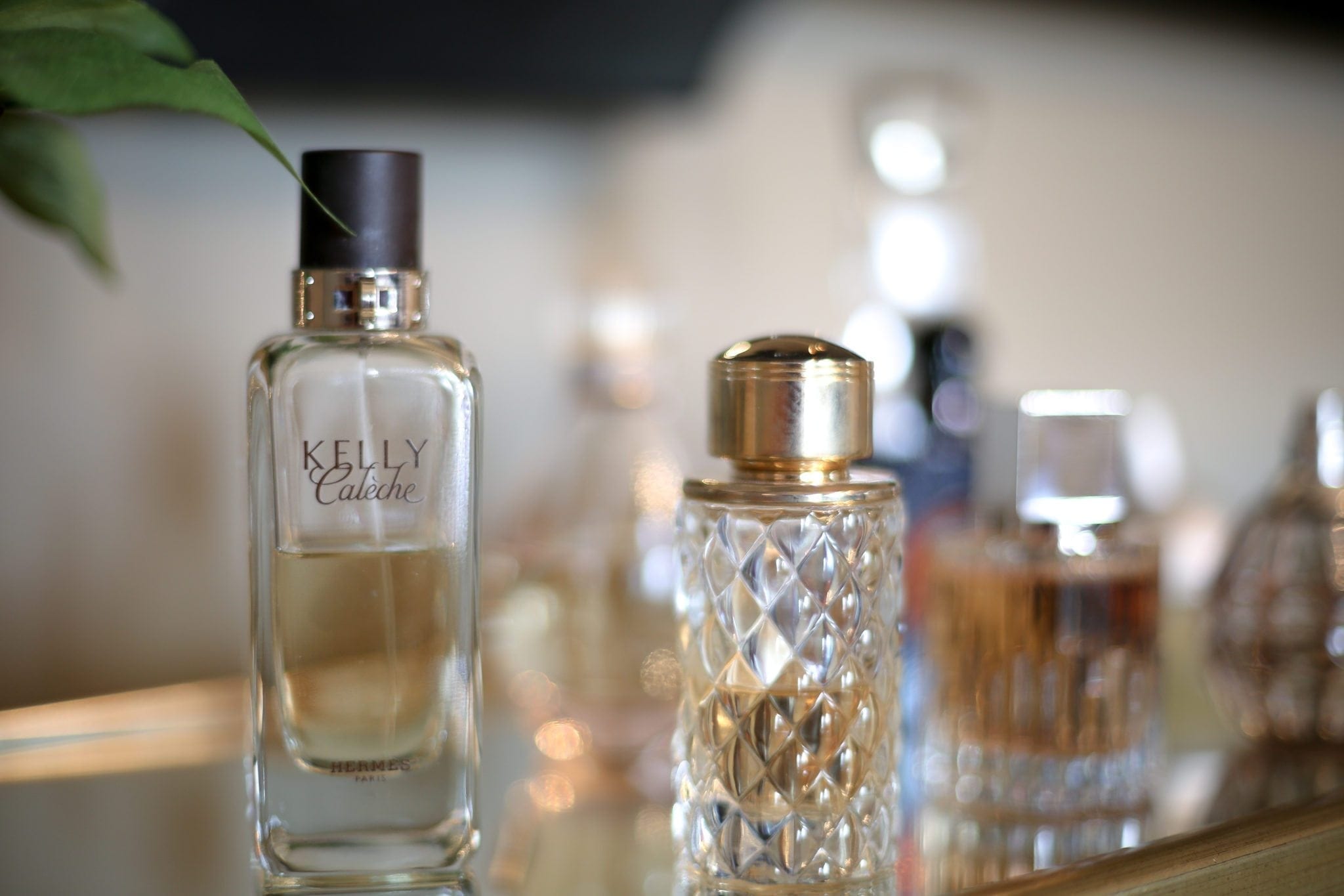 Fragrance reviews: YSL Black Opium Floral Shock, Elizabeth Arden White Tea  and Gucci Flora Gorgeous Gardenia – Lipgloss is my Life